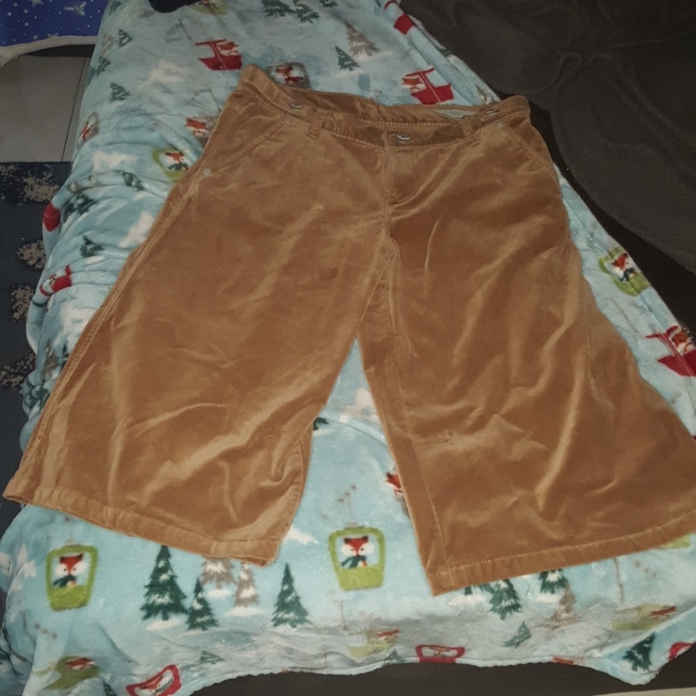 BCBGMaxAzria chloe culotte 29 EUC velour